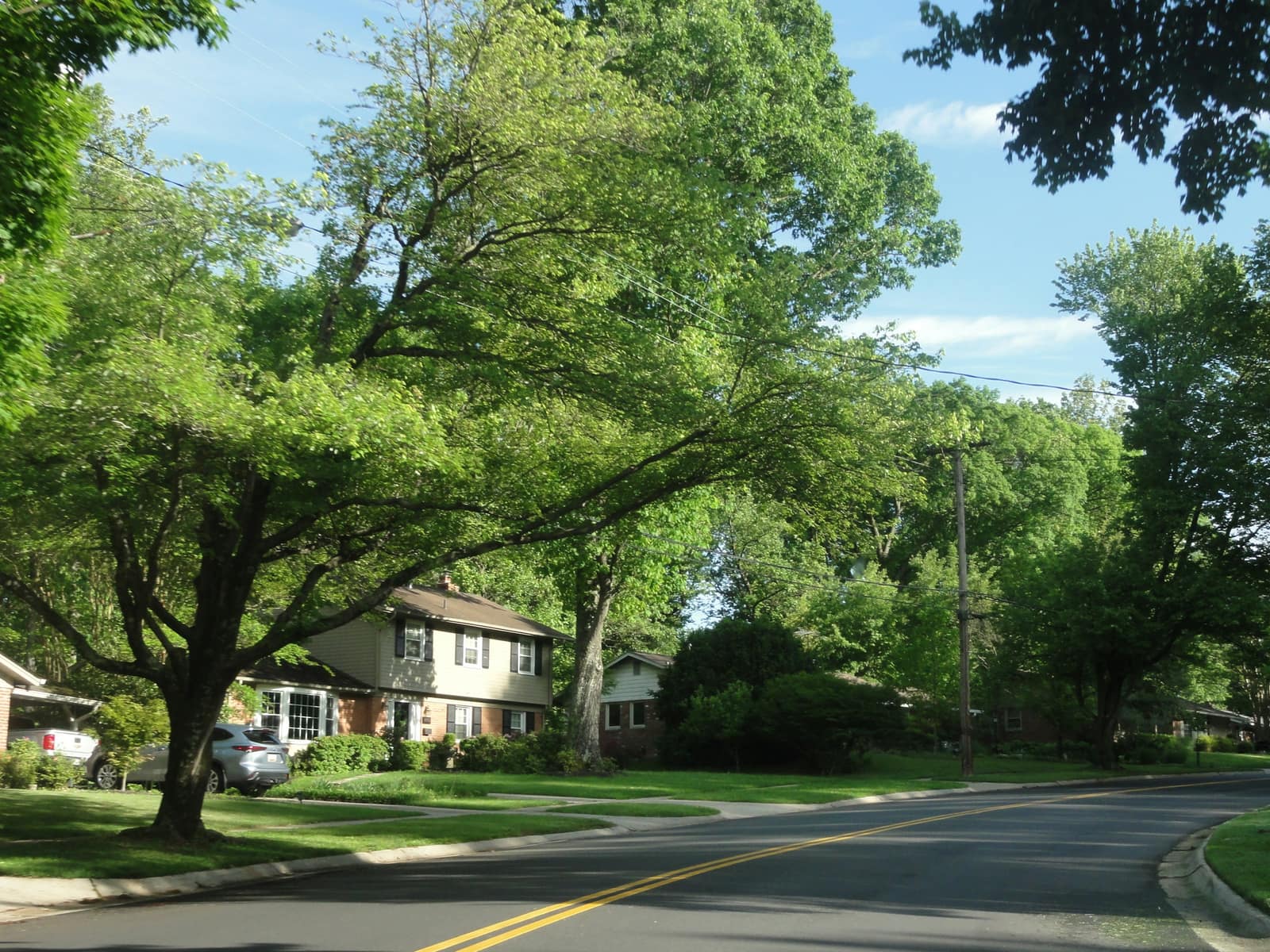 Quiet tree-lined residential street